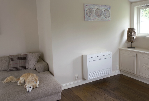 Furo gulvmodell på veggen, og hund som slapper av i sofaen. Foto. 