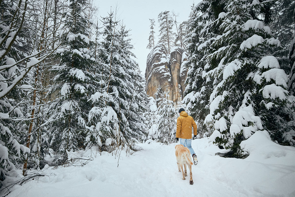 mann med hund i kaldt vinterlandskap