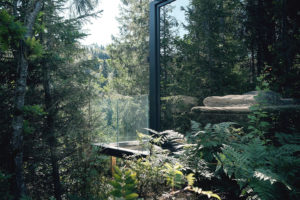 Glasshytte i skogen. Foto. 